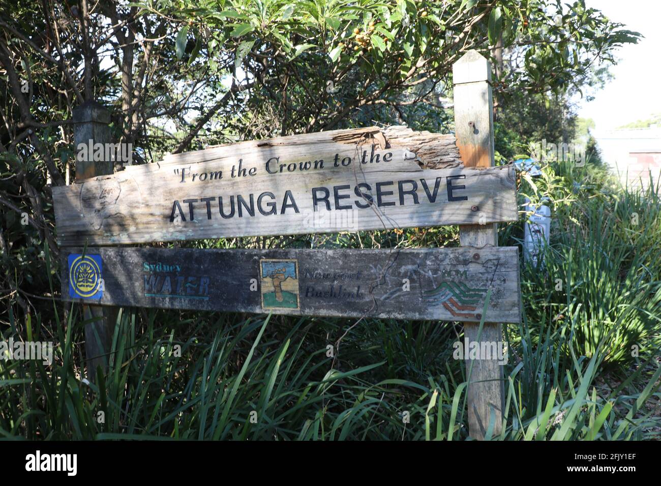 Attunga Reserve, Bilgola Beach, Sydney, NSW, Australia Stock Photo Alamy