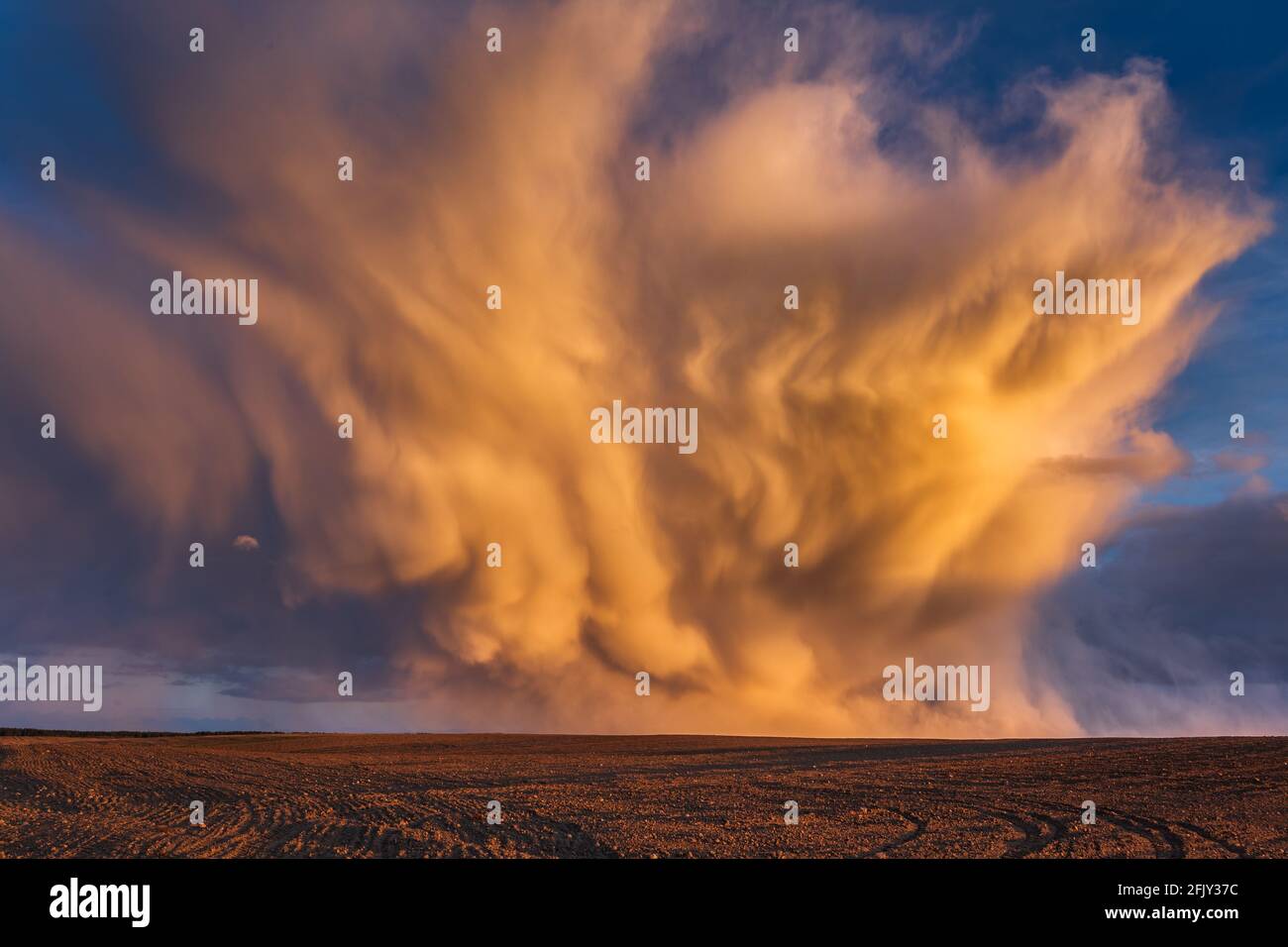 Mammatus clouds at sunset, dramatic storm clouds Stock Photo