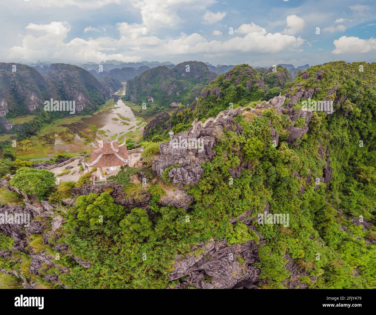 Lion tam hi-res stock photography and images - Alamy