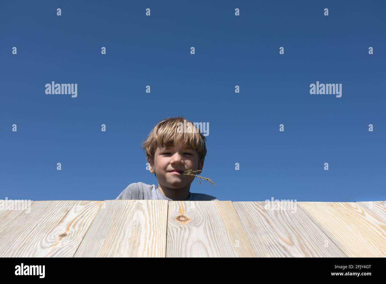 Portrait happy little boy holding twig in teeth looking out from behind wooden roof on bright blue sky. Little prankster or child indulges. Game of hi Stock Photo
