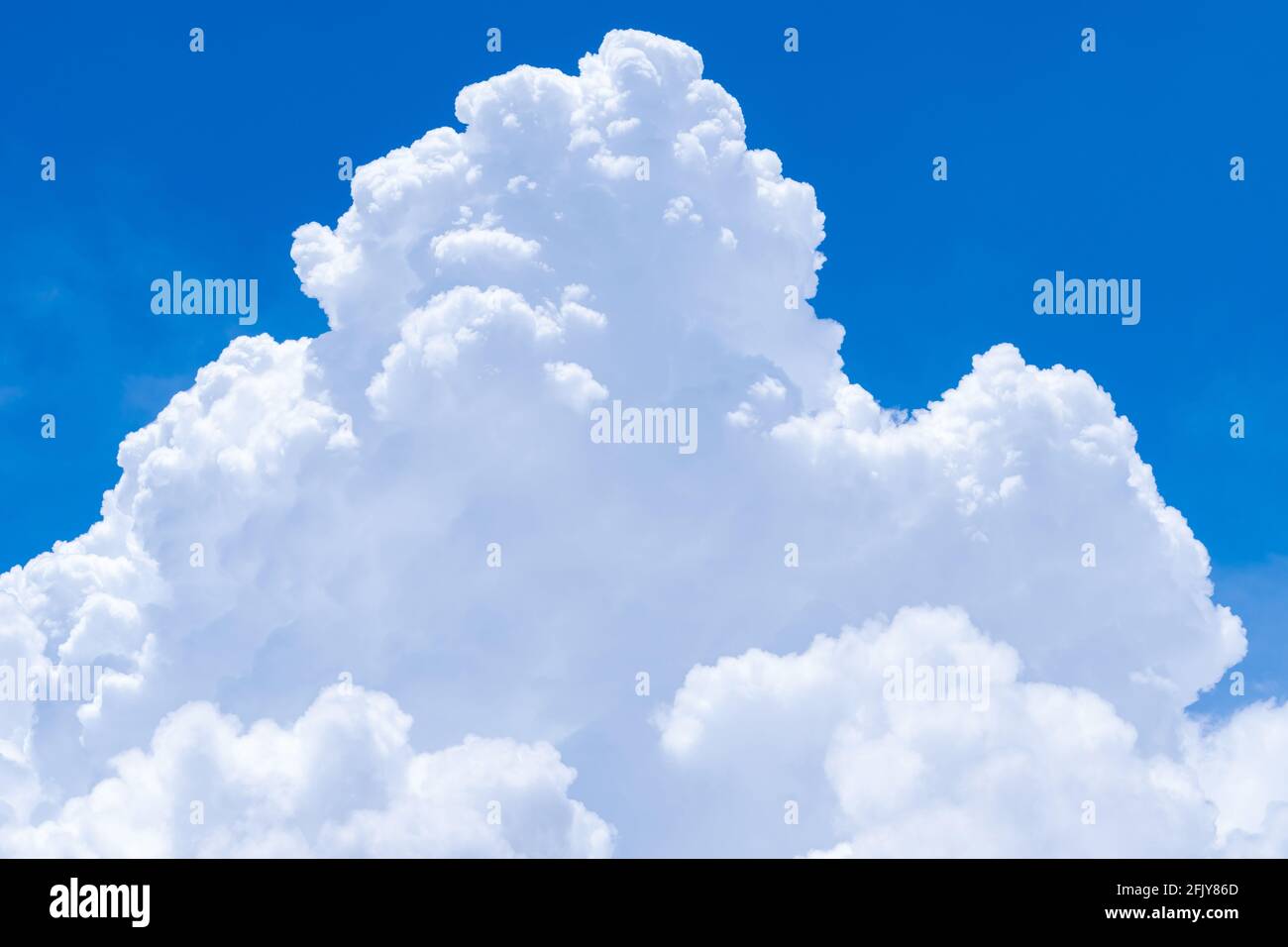 White fluffy clouds on blue sky. Soft touch feeling like cotton. White puffy cloudscape. Beauty in nature. Close-up white cumulus clouds texture. Stock Photo