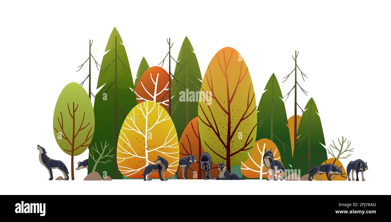 Wolf pack in the forest. Timber wolves hunt. Landscape, Green trees park,  alley and foliage in summer with animals. Row of trees and shrubs. Cartoon  Stock Vector Image & Art - Alamy