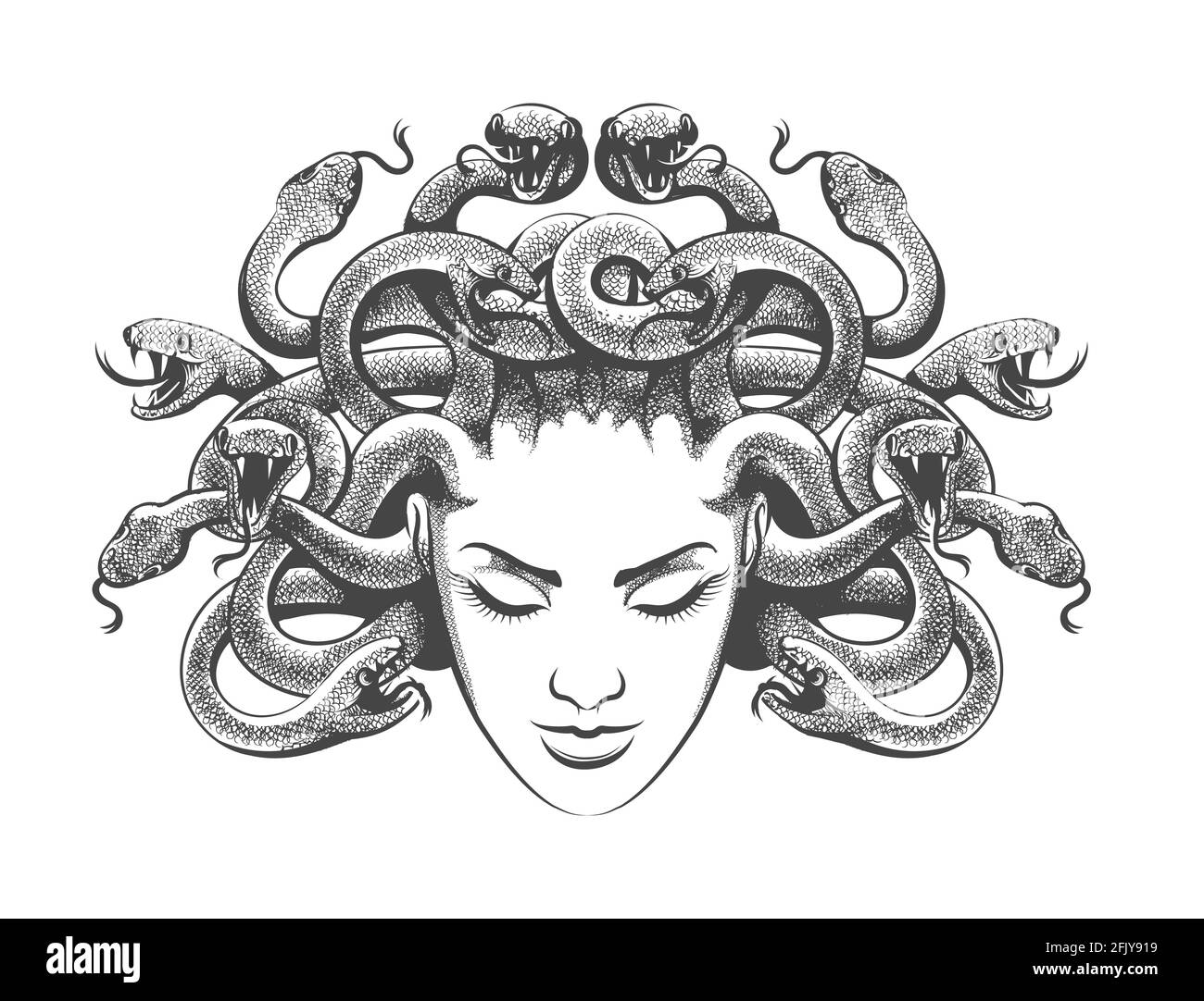 medusa gorgon with snakes drawn in tattoo style vector illustration 2FJY919