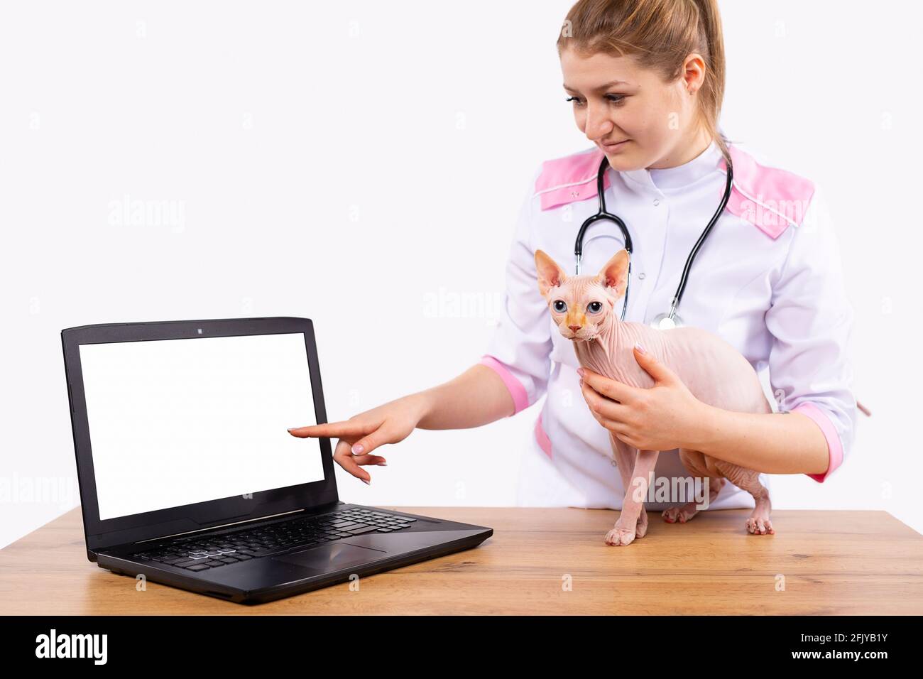 Online registration of veterinary services. Blonde, vet specialist