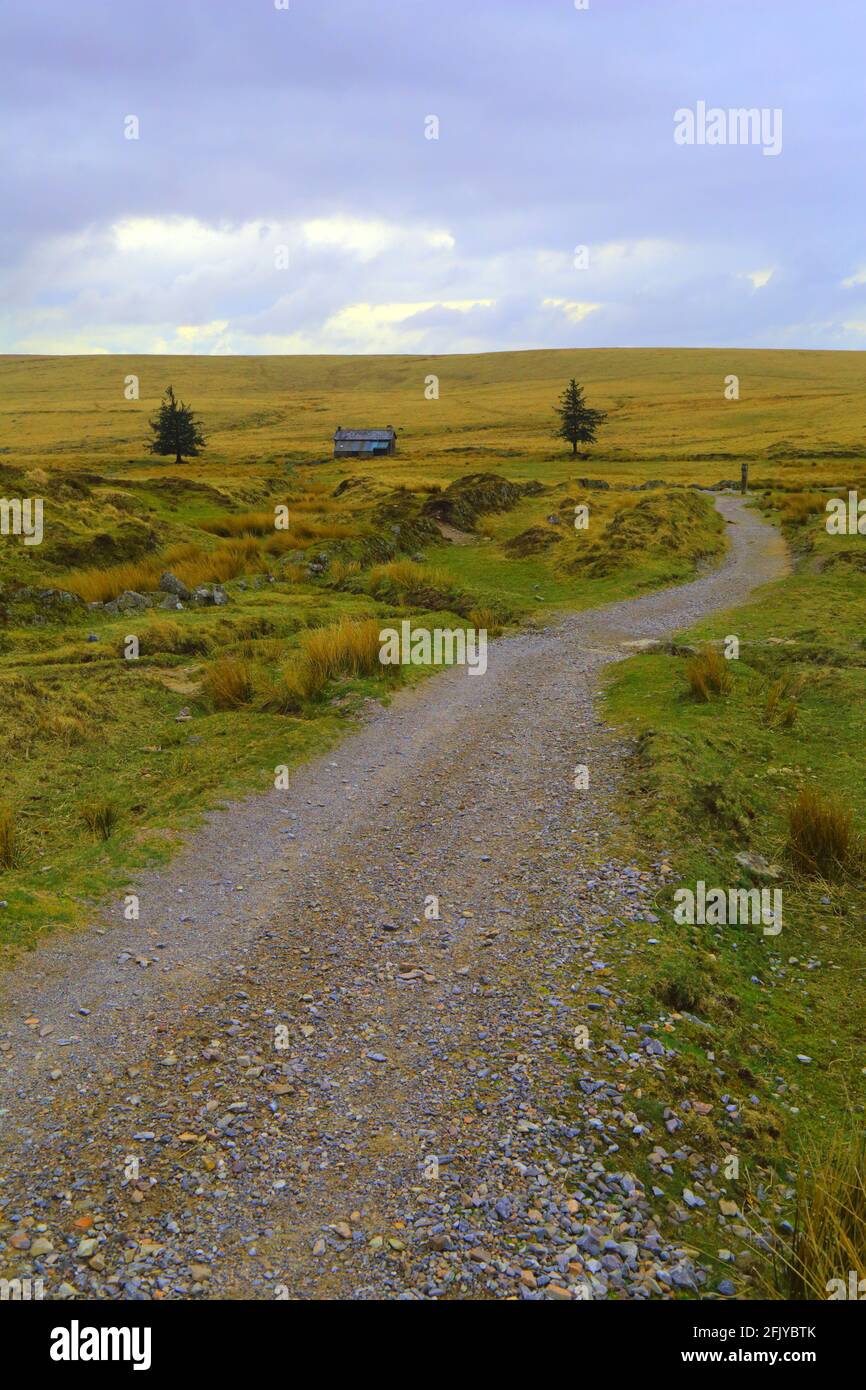 Road at Nun's Cross in Dartmoor National Park, Devon Stock Photo