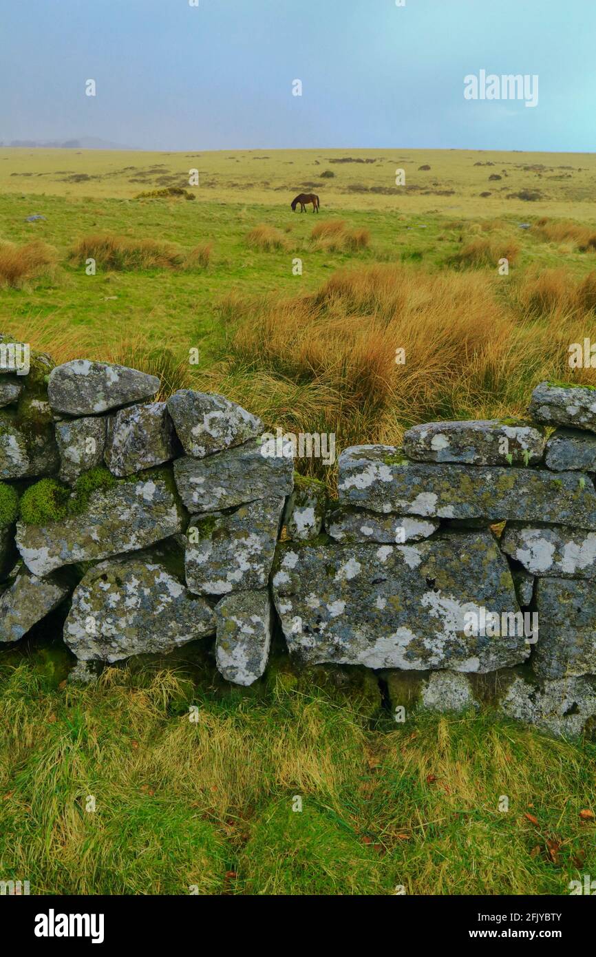 Dry stone wall in Dartmoor National Park, Devon Stock Photo