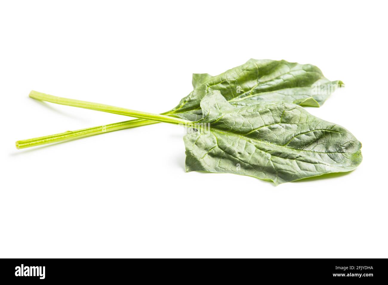 Green spinach leaves isolated on white background. Stock Photo