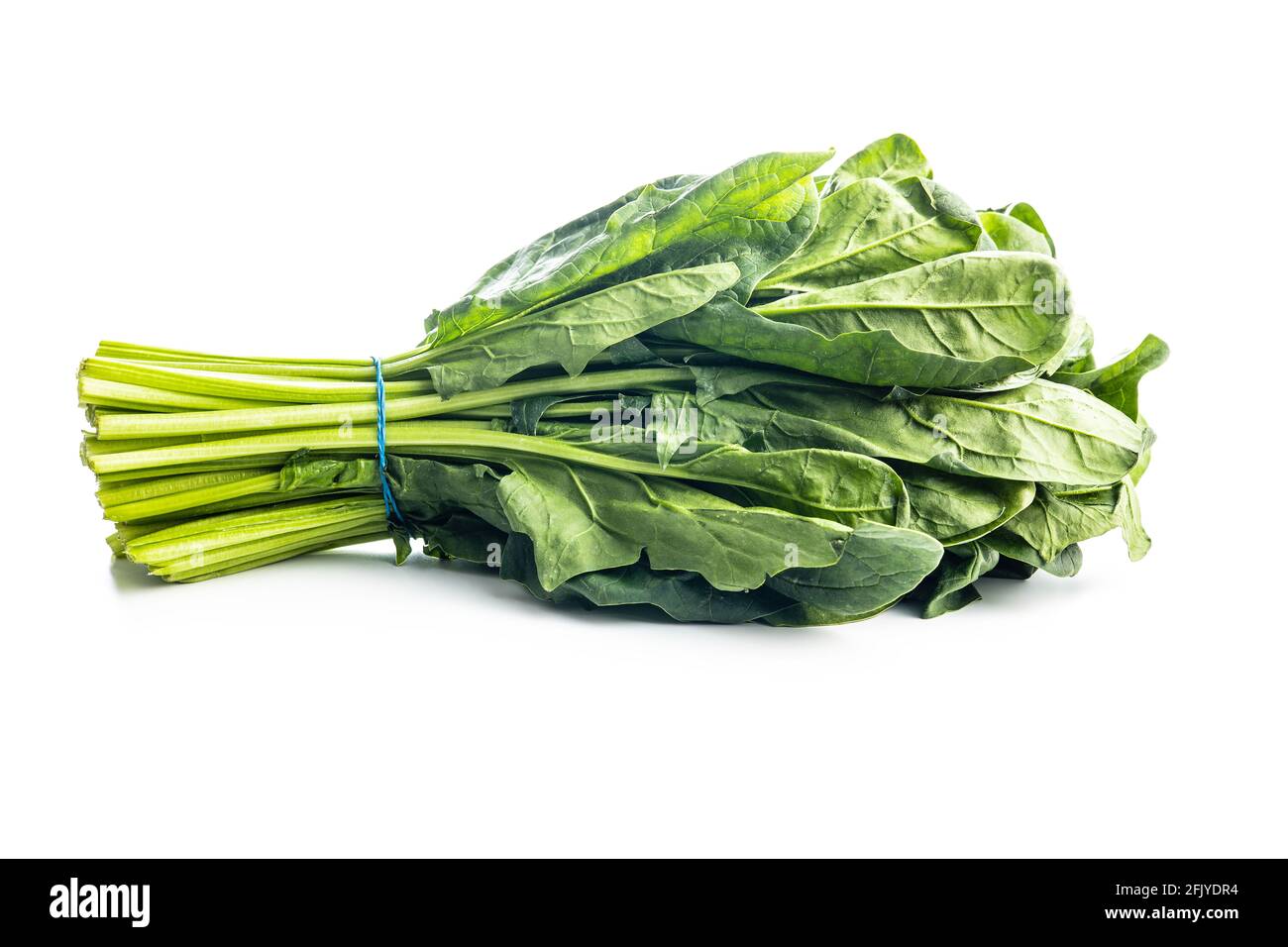 Bunch of green spinach leaves isolated on white background Stock Photo ...