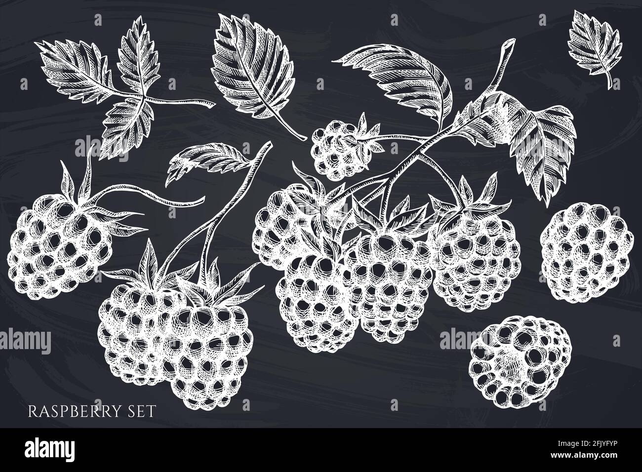 Vector set of hand drawn chalk raspberry Stock Vector Image & Art Alamy
