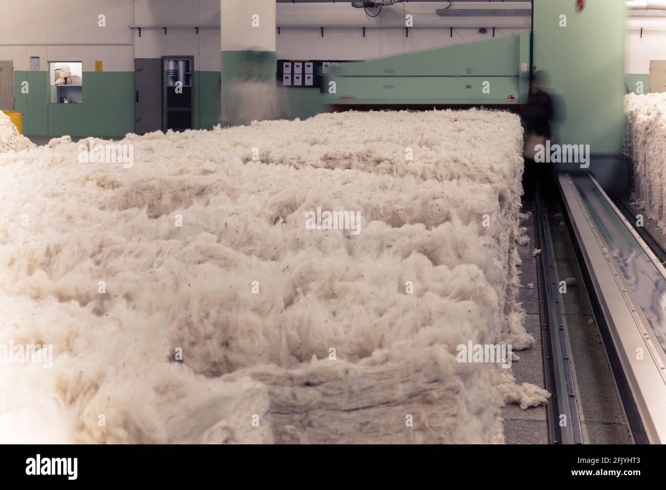 Cotton rolling in a cotton sorter and Cleaner of Trutzschler in a yarn