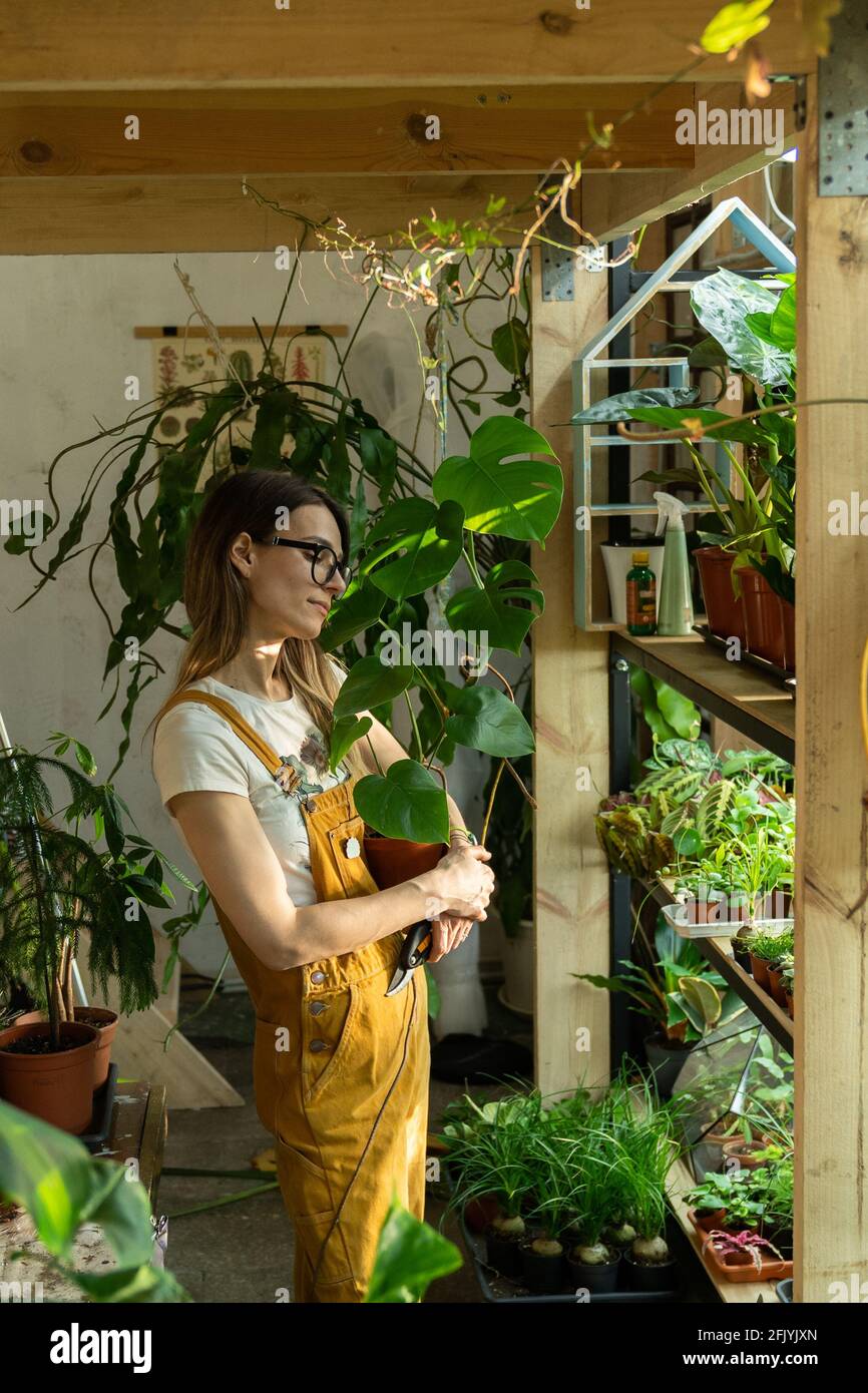 Young girl gardener or florist girl hold flowerpot with mostera working in home garden or greenhouse Stock Photo