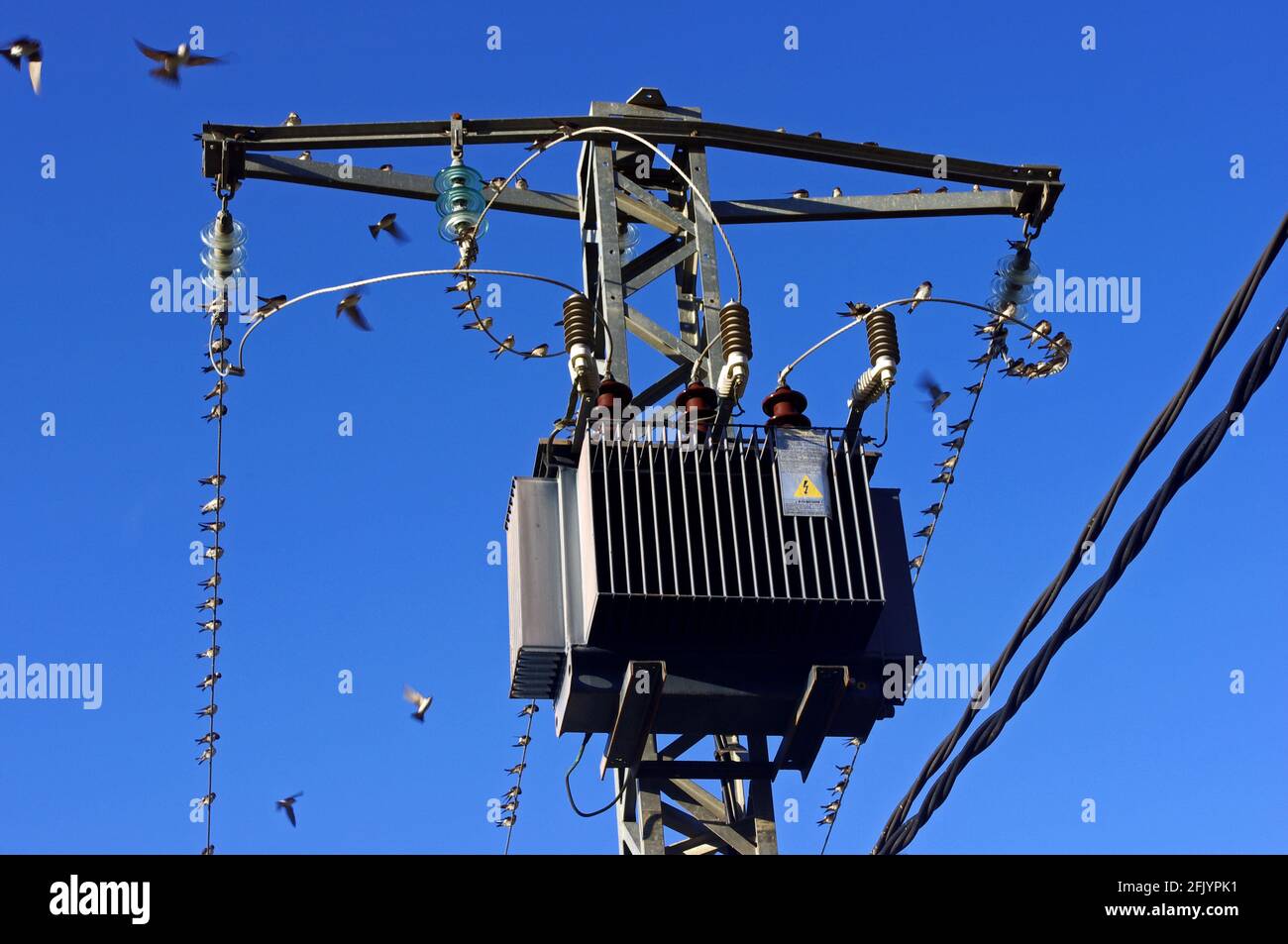 Low angle shot of a pole-mounted electric transformer on the blue sky background Stock Photo