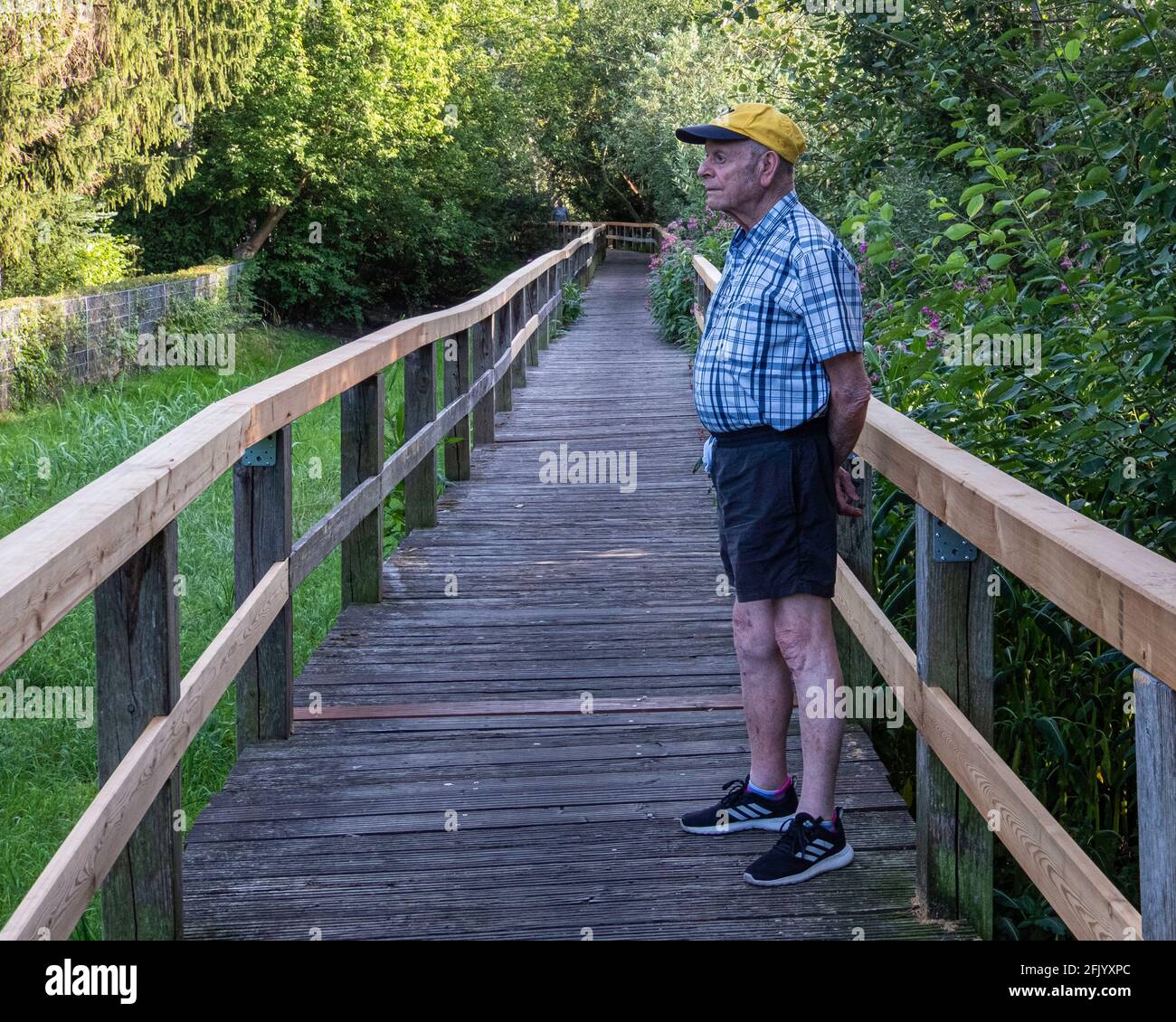 Elderly man on wooden Bridge in small holding. Allotment garden area in Berlin,Germany Stock Photo