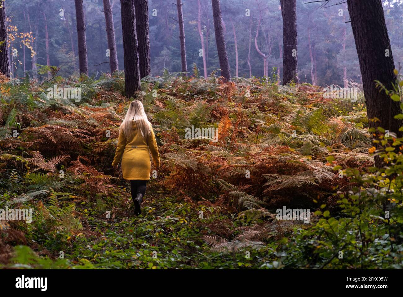 Blonde woman in yellow jacket walking through a forest clearing ...