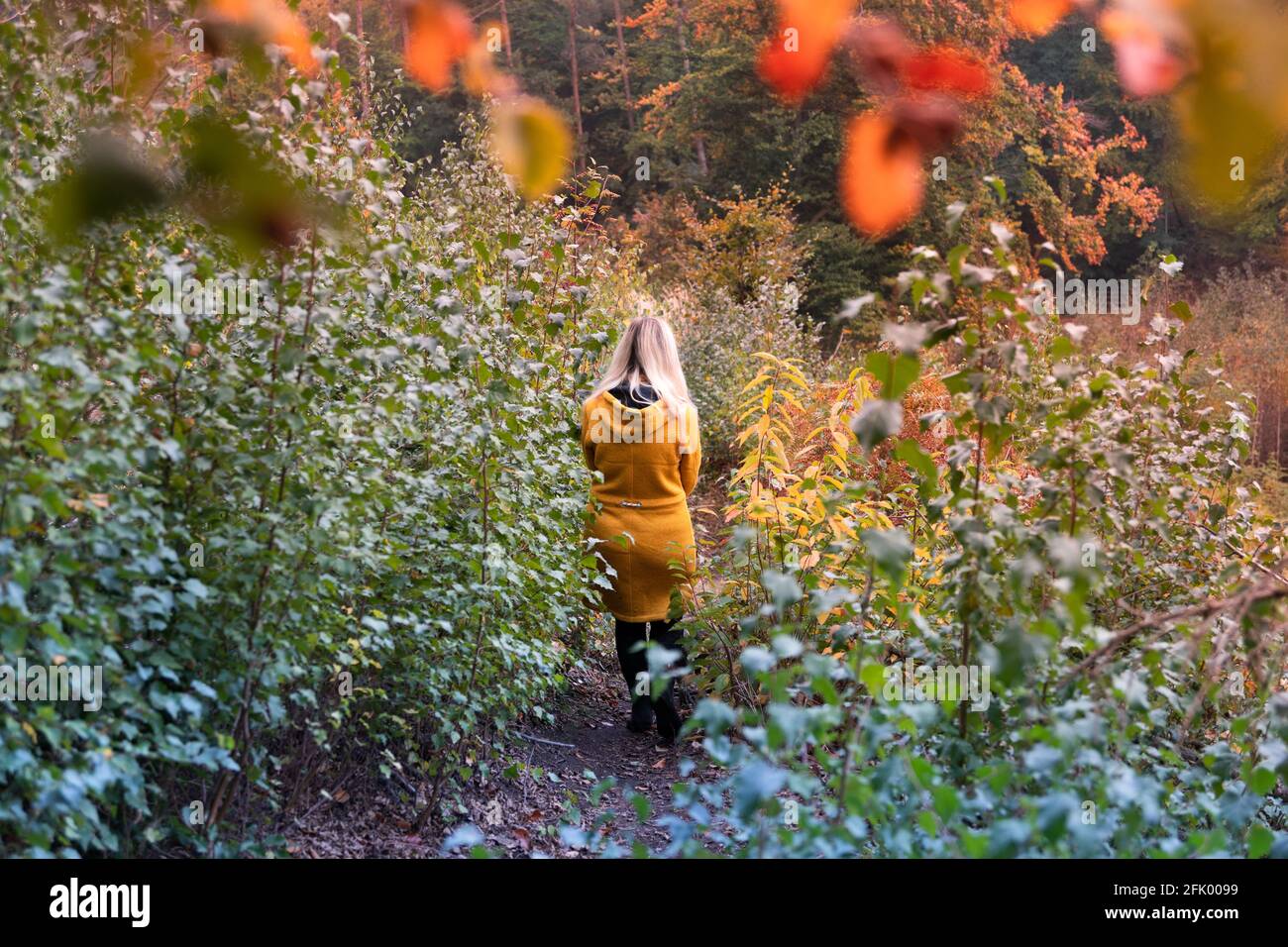 Blonde woman in yellow jacket walking through a forest clearing ...