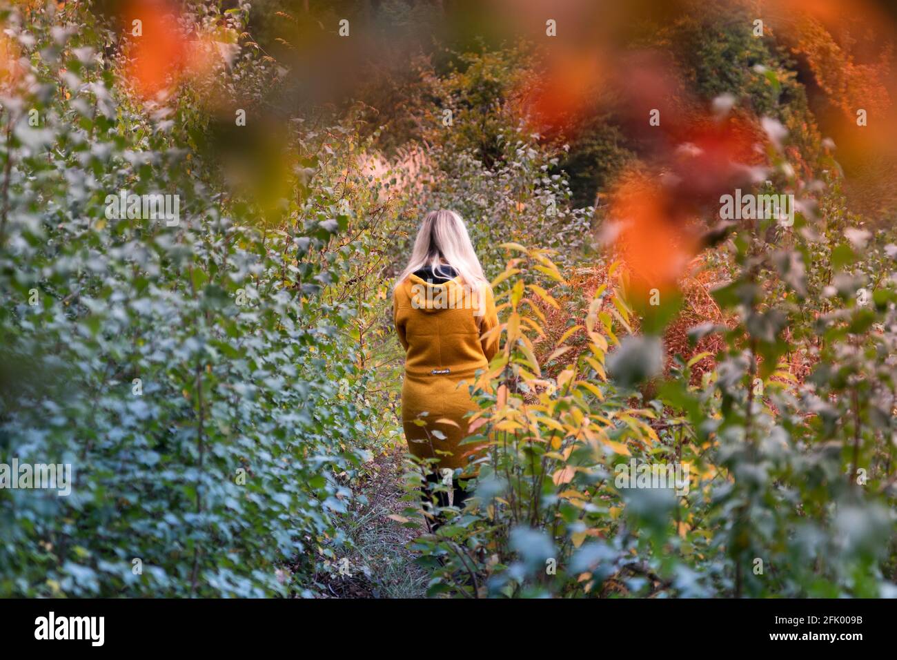 Blonde woman in yellow jacket walking through a forest clearing ...