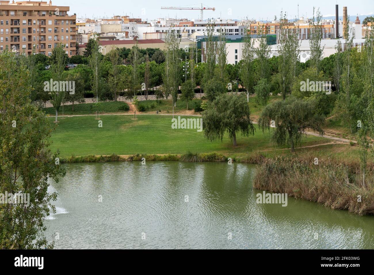 Beautiful green urban park. Public park with green grass fields, trees, waterways and pond. Parque de Cabecera, Valencia, Spain Stock Photo