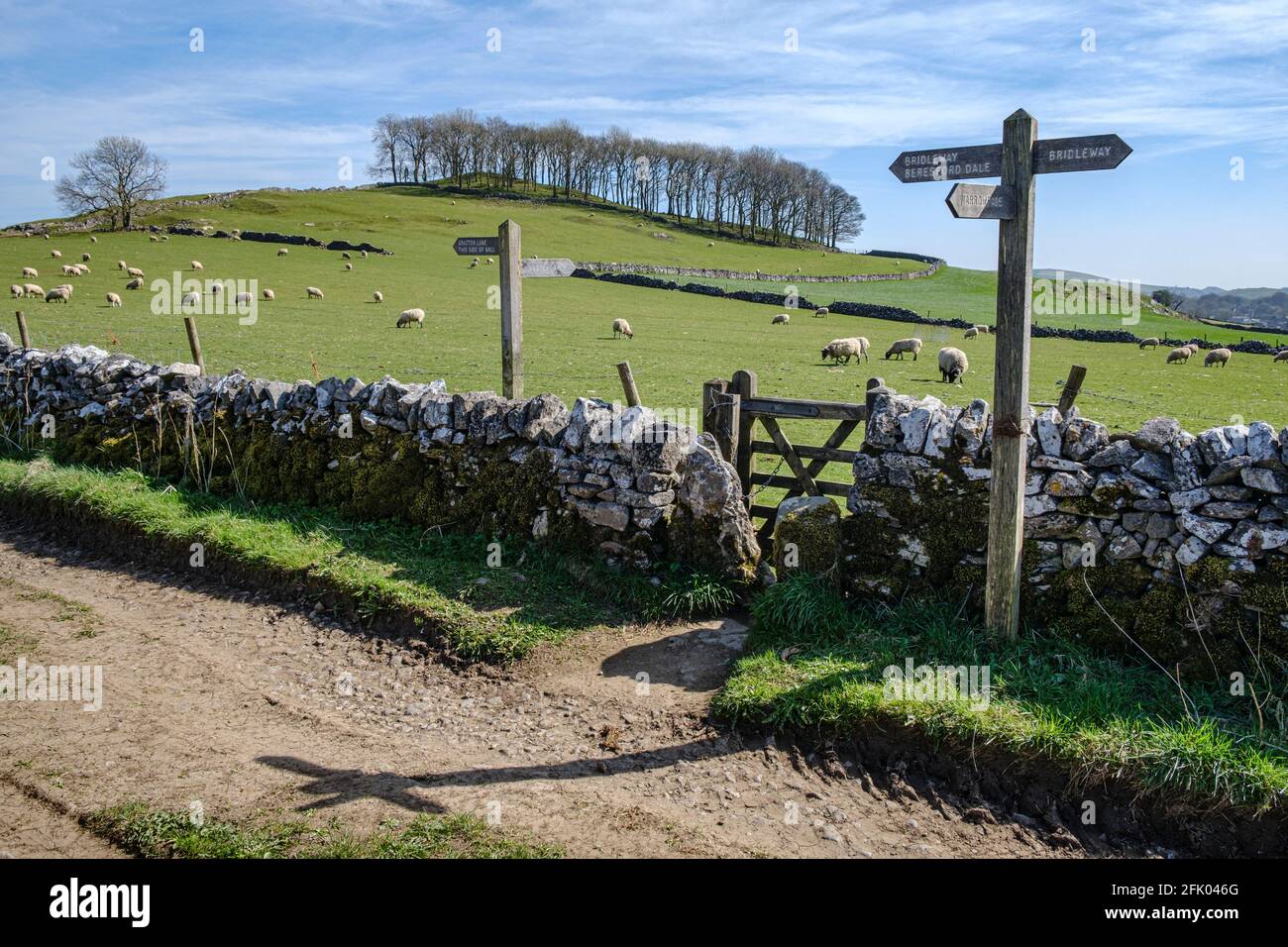 Bridleway and footpath near Alstonefield, Peak District National Park, Staffordshire Stock Photo