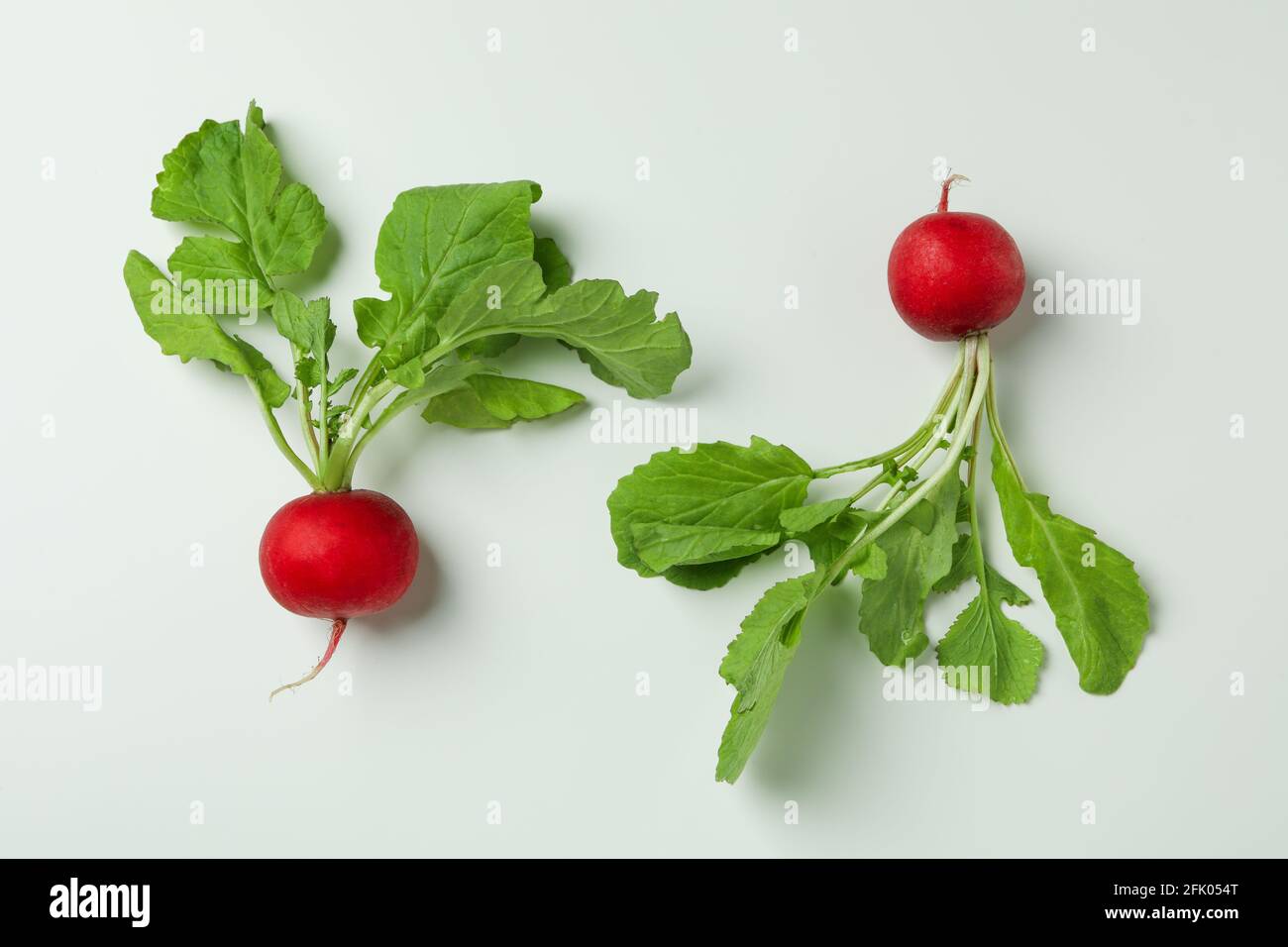 Two fresh radishes on white background, close up Stock Photo