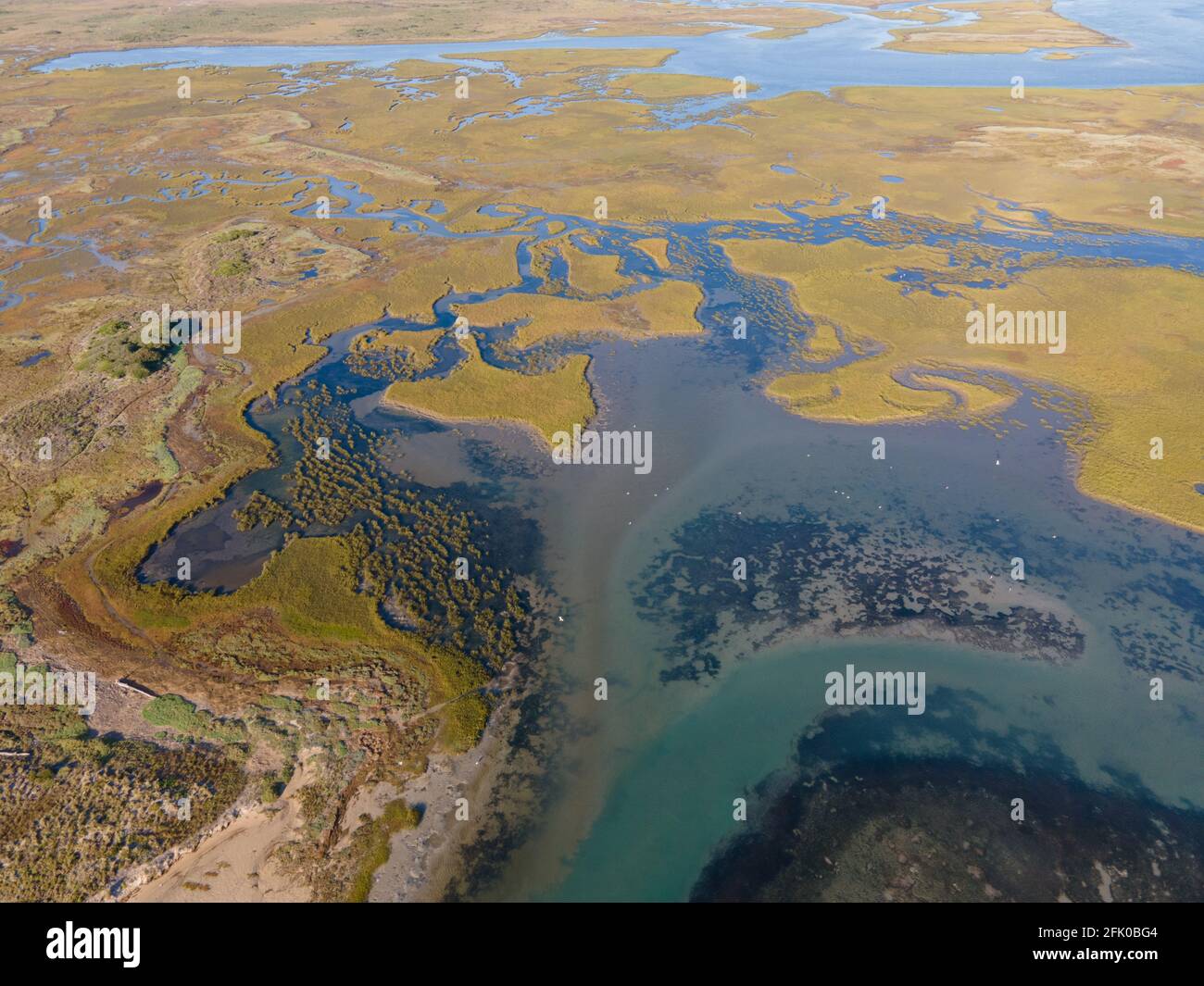 Drone view of wetlands seen from high angle Stock Photo