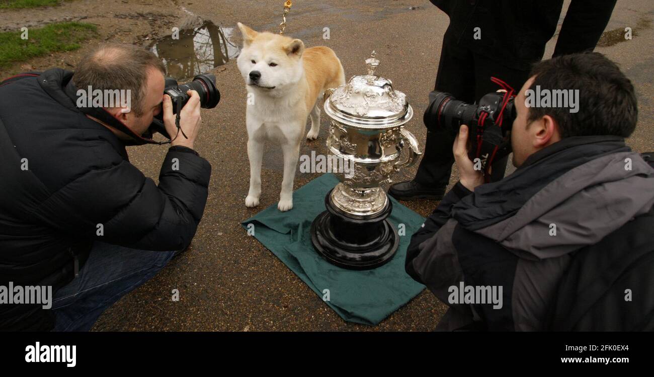 NATIONAL LAUNCH OF CRUFTS 2007 to be held at the NEC Birmingham 8th - 11th March. Photo call in Green Park in London.  Rooster the Japanese Akita Inu photographed with the Crufts trophy  pic David Sandison Stock Photo