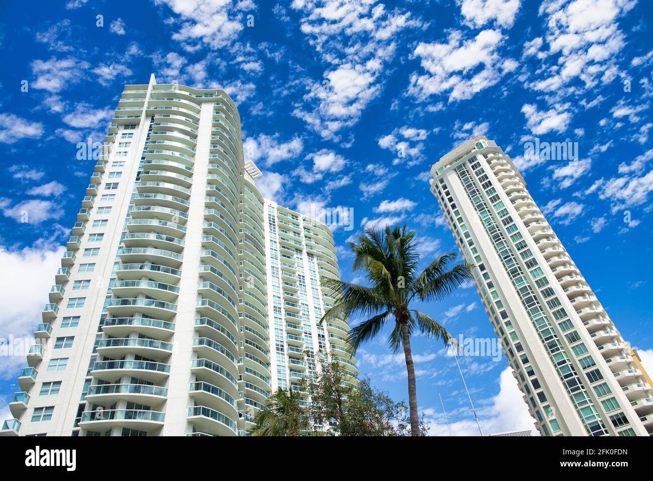 Skyscrapers of Fort Lauderdale with palms and blue sky, Florida Stock Photo