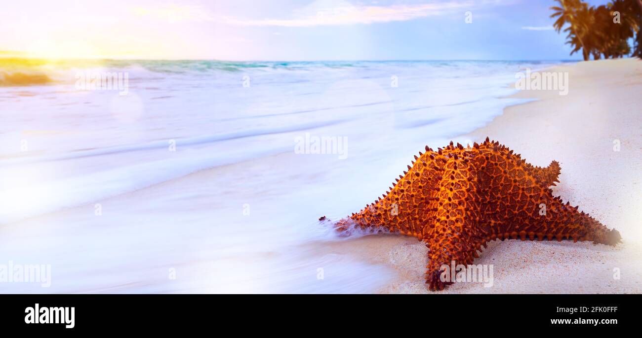 Art Beautiful sunrise over the tropical beach Stock Photo - Alamy