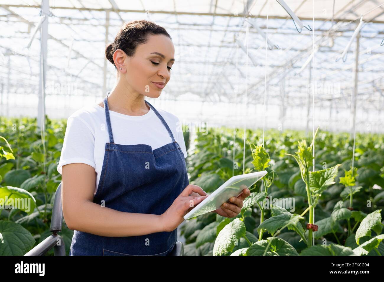 smiling african american farmer in apron using digital tablet in greenhouse Stock Photo