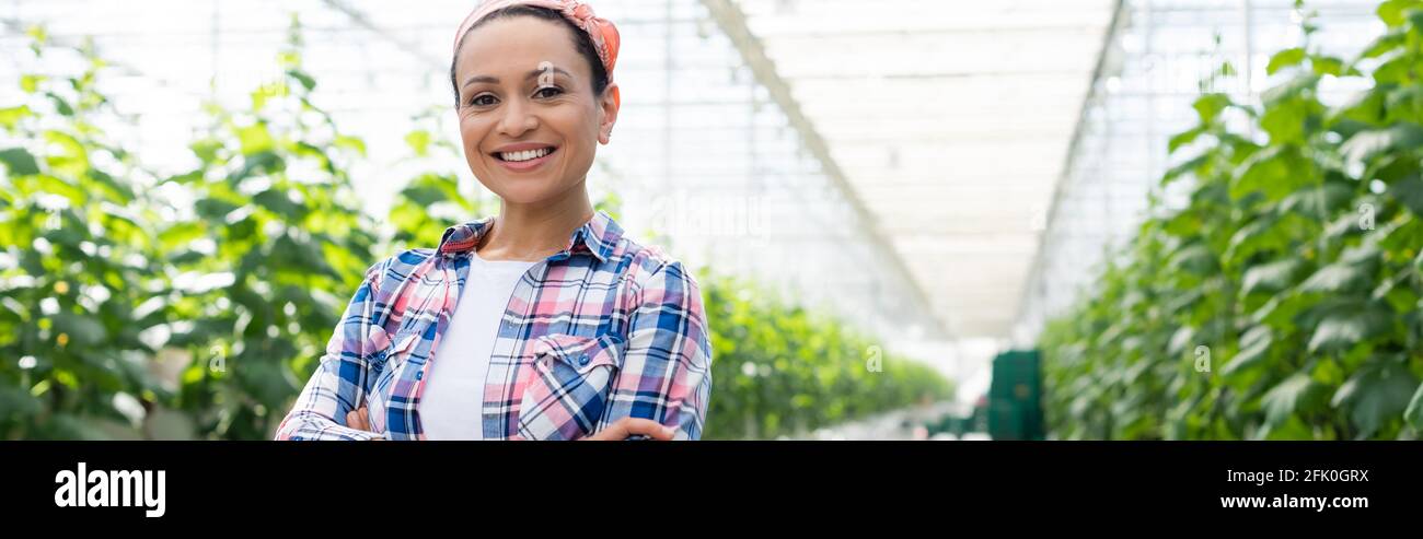 happy african american farmer smiling at camera in greenhouse, banner ...