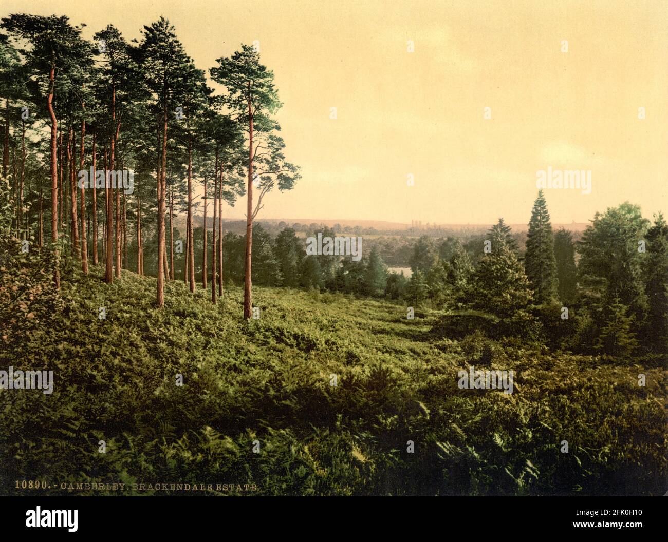 Brackendale Estate, Camberley in Surrey circa 1890-1900 Stock Photo