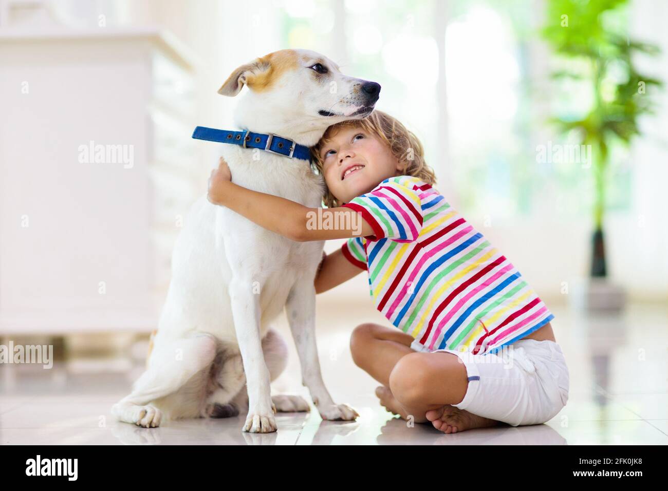 Child playing with baby dog. Kids play with puppy. Little boy and ...