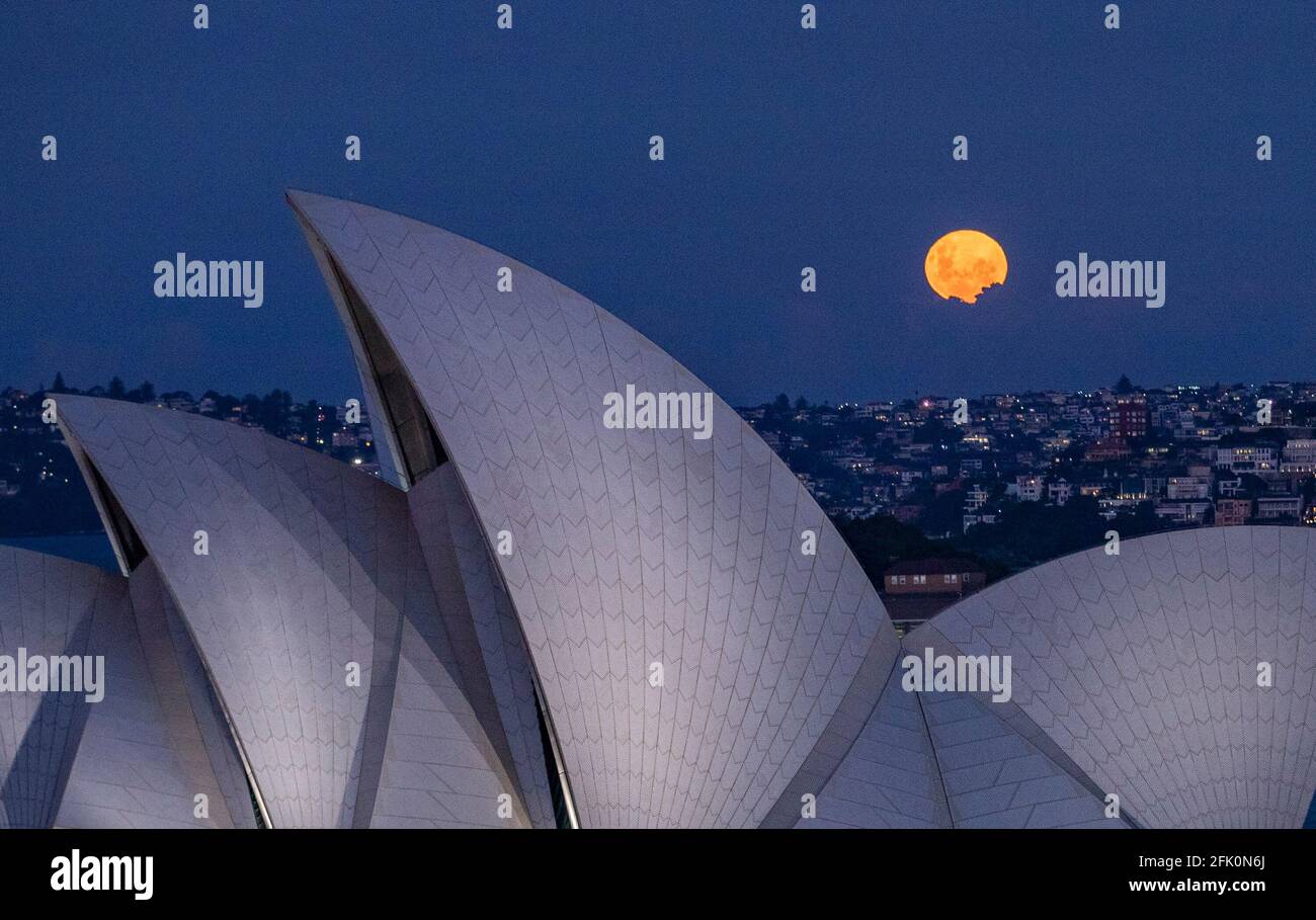 Sydney 27th Apr 21 Photo Taken On April 27 21 Shows A Super Moon With A Sail Of Sydney Opera House In The Foreground In Sydney Australia Credit Bai Xuefei Xinhua Alamy Live News