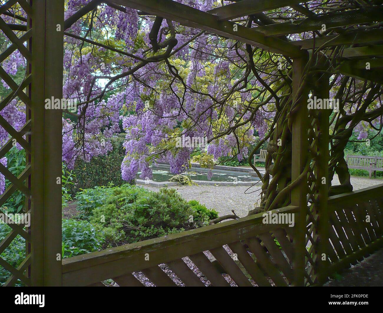 Old traditional English garden Stock Photo - Alamy