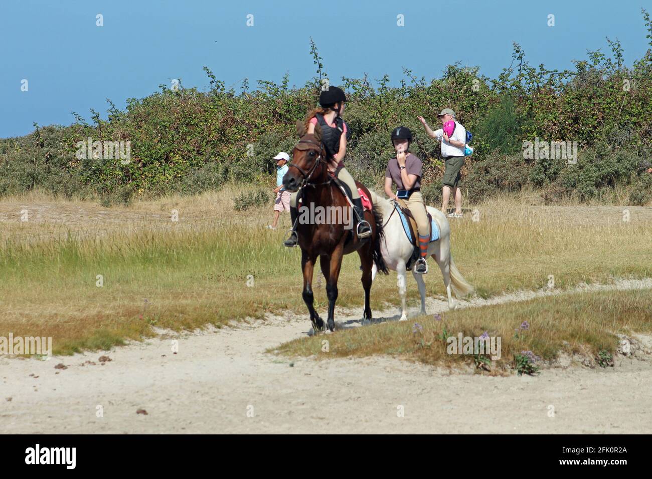 France, la Baie d'Authie dans le Pas de Calais Stock Photo Alamy