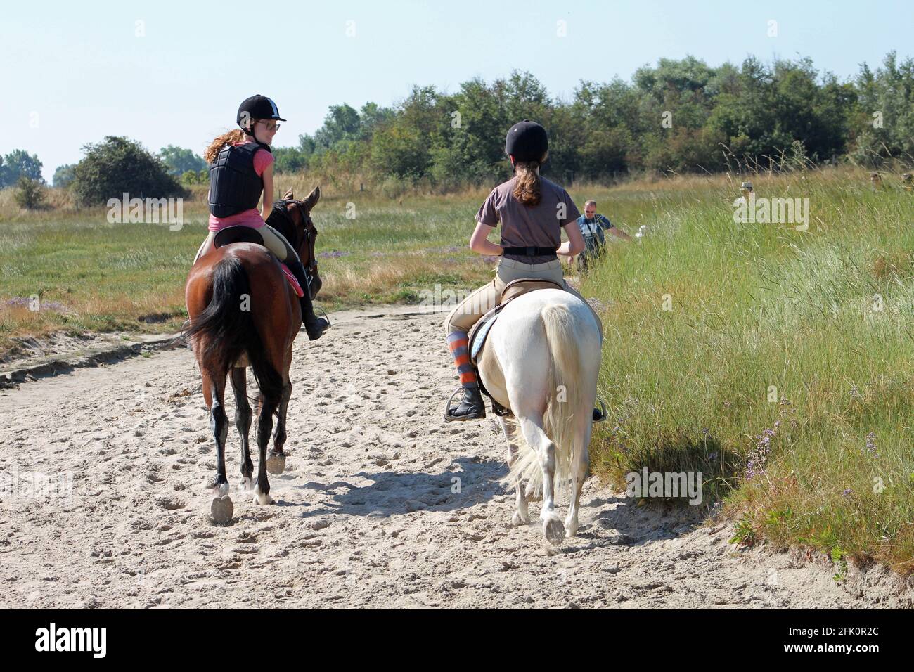 France, la Baie d'Authie dans le Pas de Calais Stock Photo Alamy