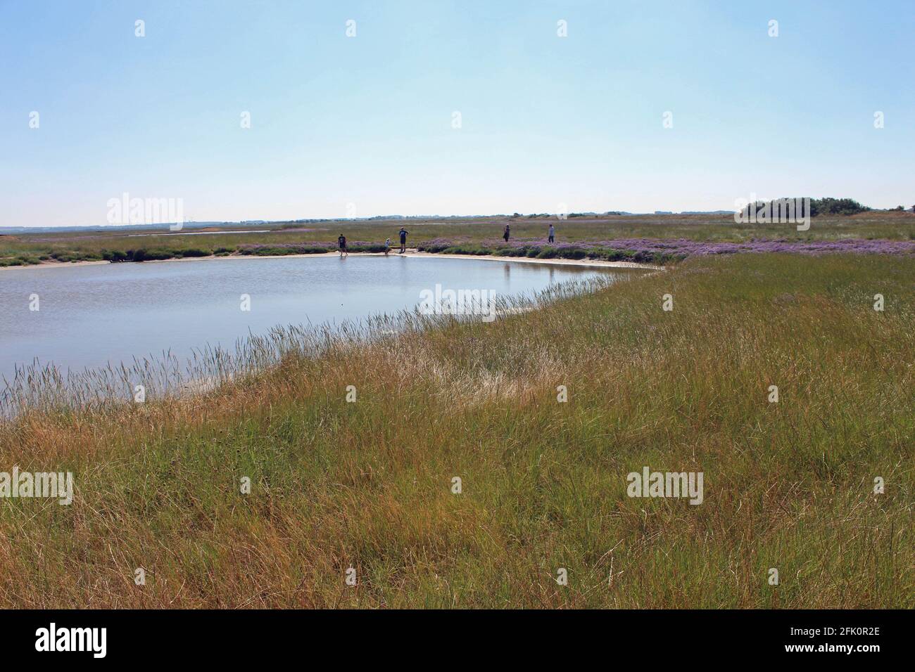 France, la Baie d'Authie dans le Pas de Calais Stock Photo Alamy