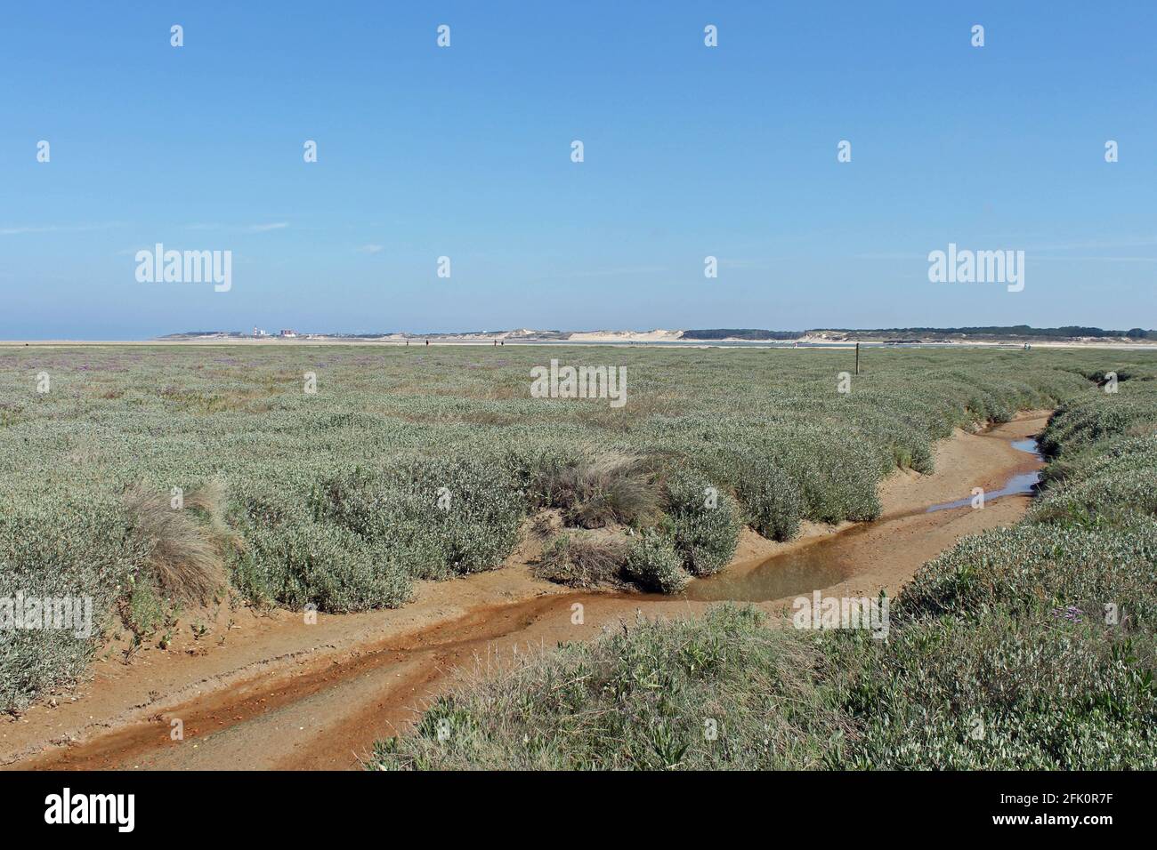France, la Baie d'Authie dans le Pas de Calais Stock Photo Alamy