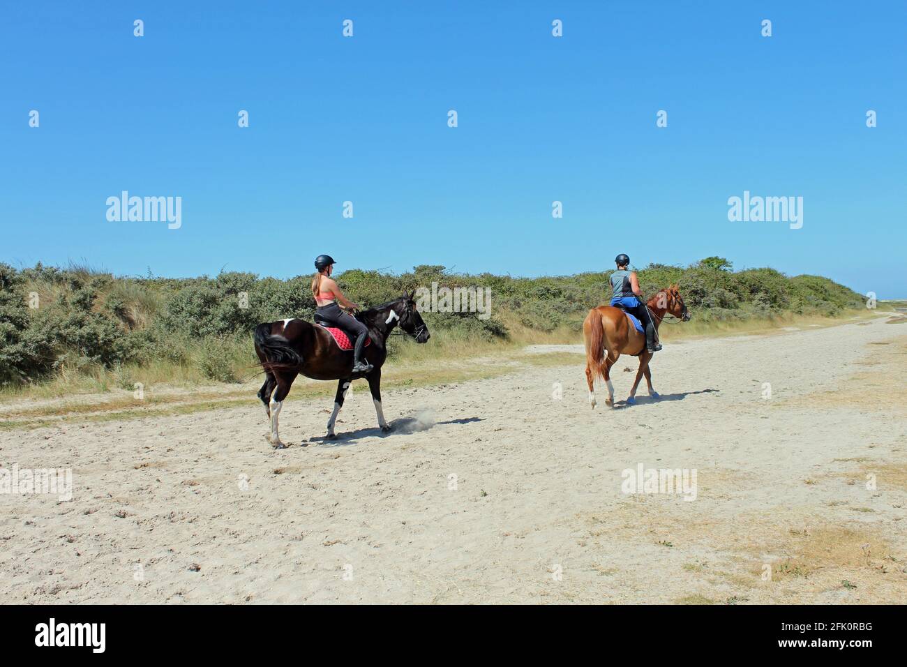France, la Baie d'Authie dans le Pas de Calais Stock Photo Alamy