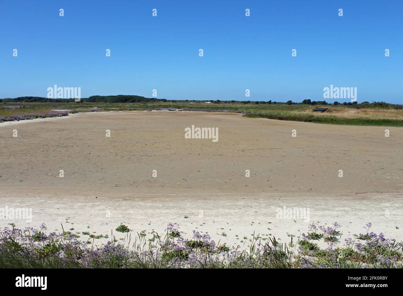 France, la Baie d'Authie dans le Pas de Calais Stock Photo Alamy