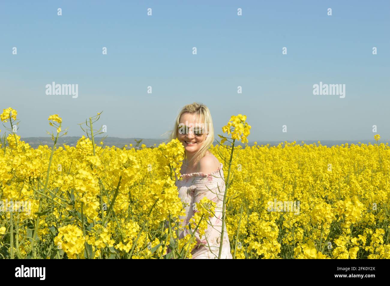 Rapeseed field in hampshire hi-res stock photography and images - Alamy