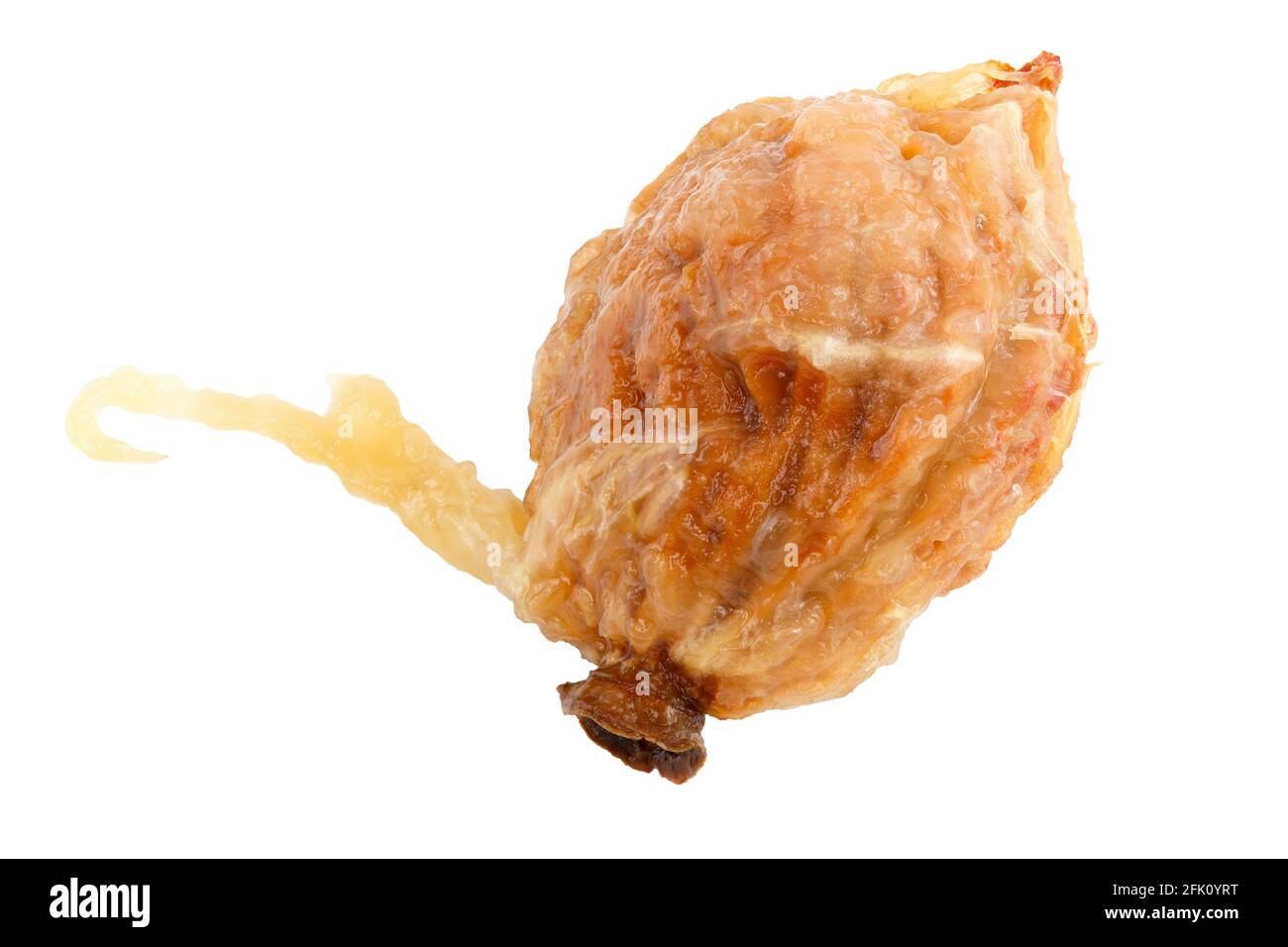wet peach seed with pulp leftovers isolated on white background Stock Photo