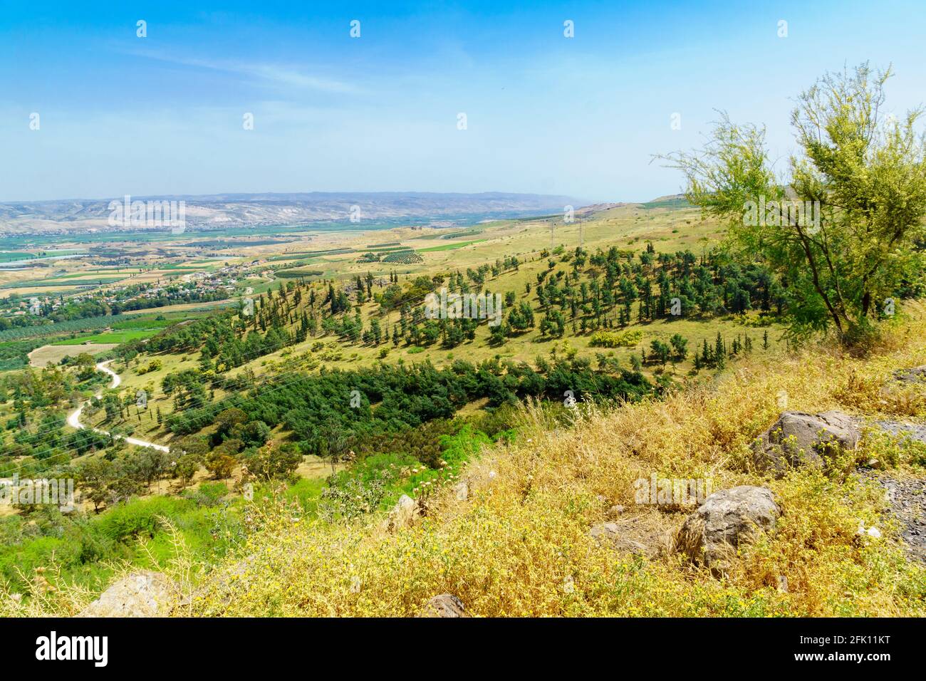 View of the landscape of the Lower Jordan River valley. Northern Israel