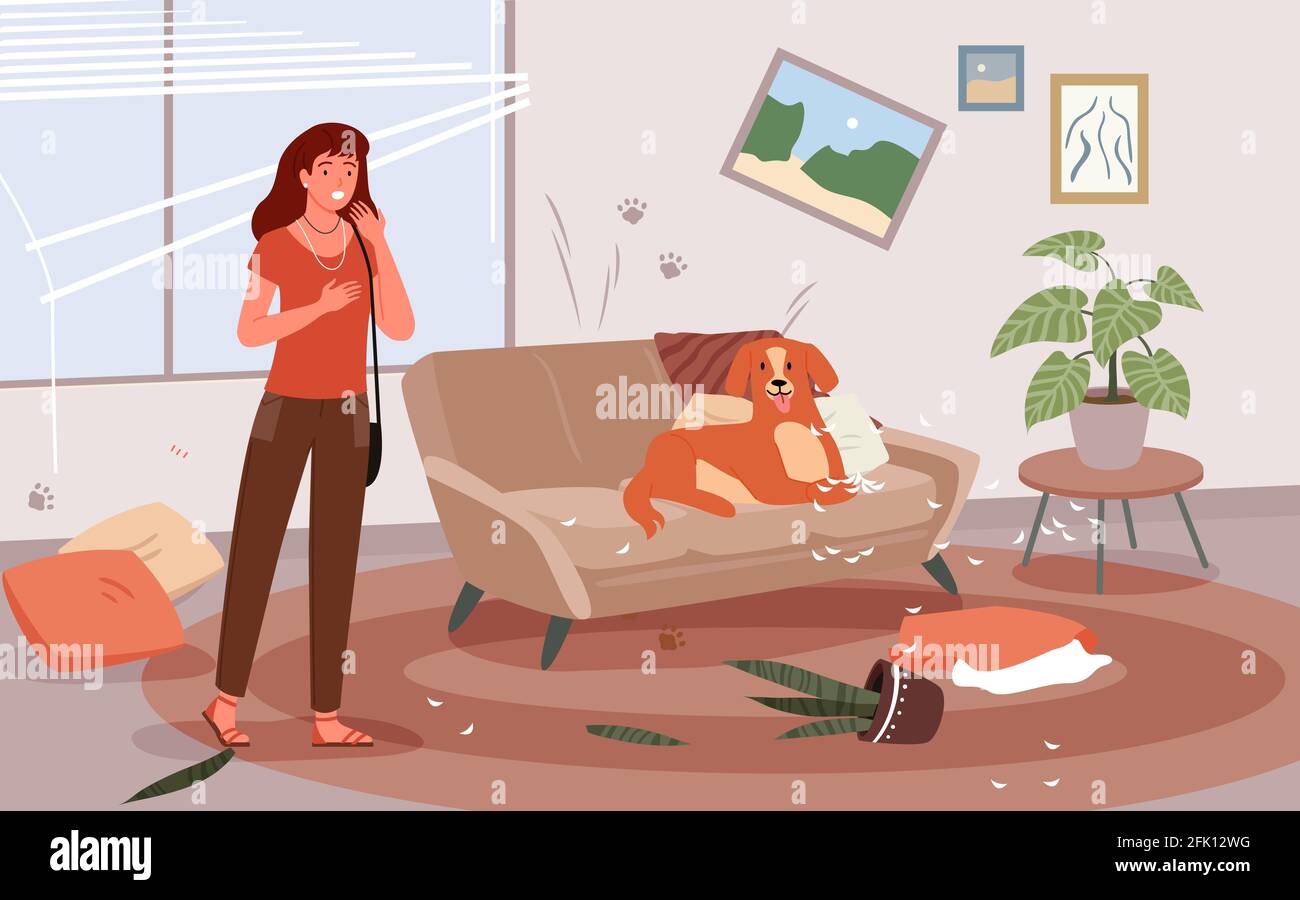 Problem of pet dog owner vector illustration. Cartoon upset woman scolding dog for mess and damaged furniture, frustrated female character about bad Stock Vector