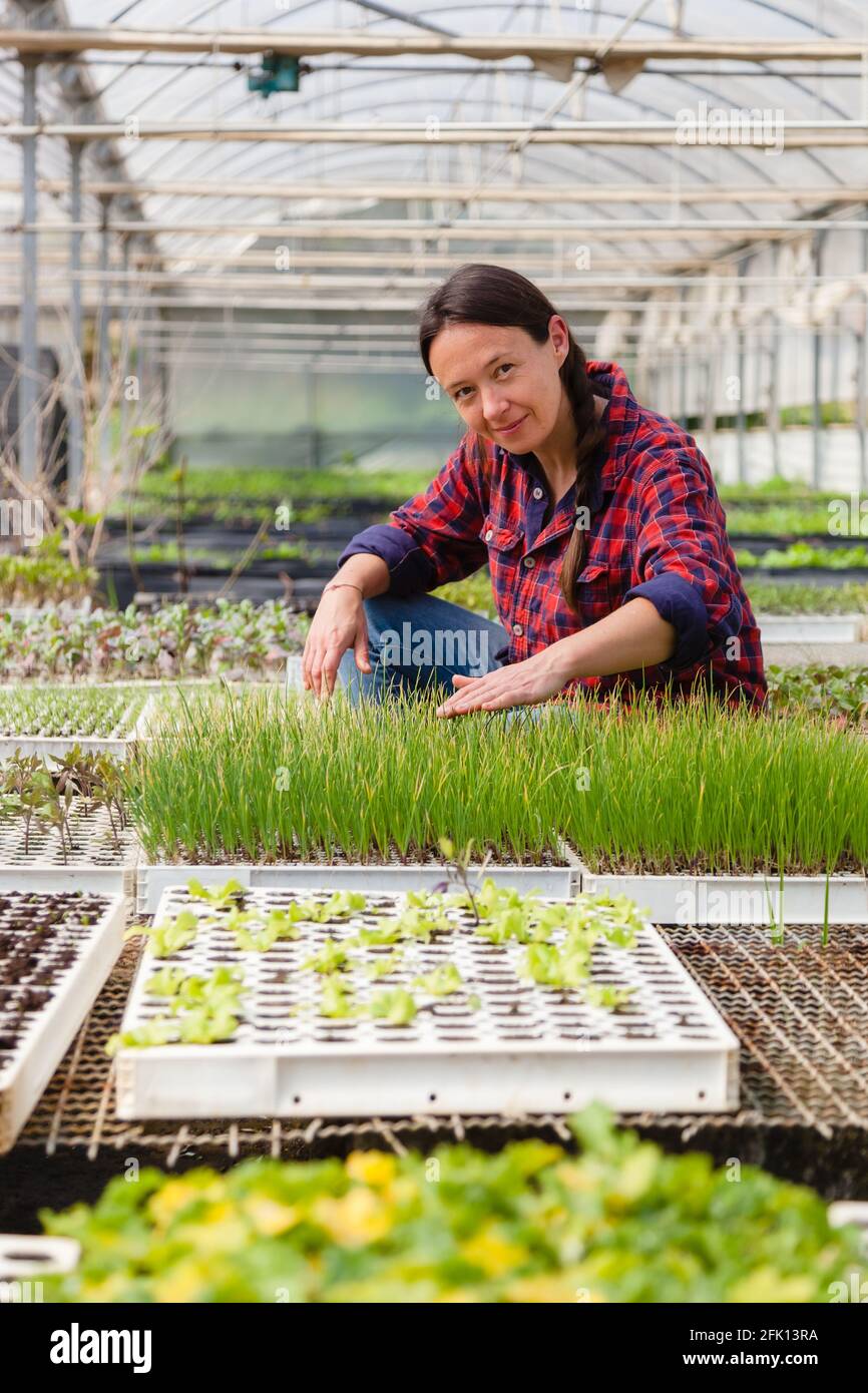Candid portrait of happy woman working in a greenhouse. Concept: sustainable agriculture, natural food industries Stock Photo
