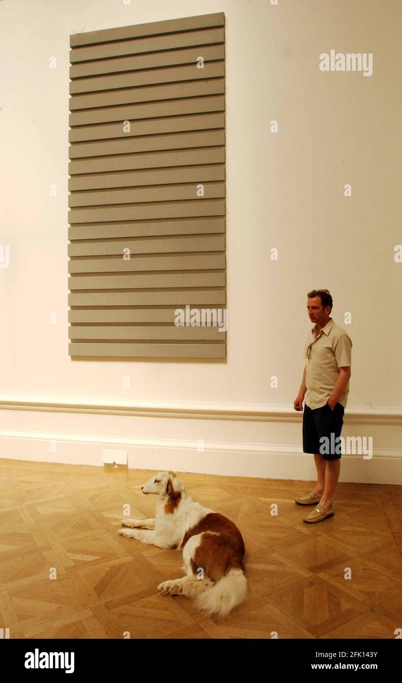 THE ARTIST GARY HUME DURING INSTALATION OF HIS SELECTION OF ARTISTS WORK IN THE ROYAL ACADEMY SUMMER EXHIBITION PICTURED ARE ALAN CHARLTON'S 'VERTICAL PAINTING IN 20 HORIZONTAL PARTS' AND THOMAS GRUNSELD'S 'MISFIT-ST BERNARD'.16/5/02 PILSTON Stock Photo