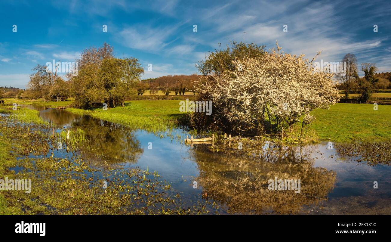 Landscape of Little Missenden nature and river Misbourne, Chilterns, Buckinghamshire, England Stock Photo