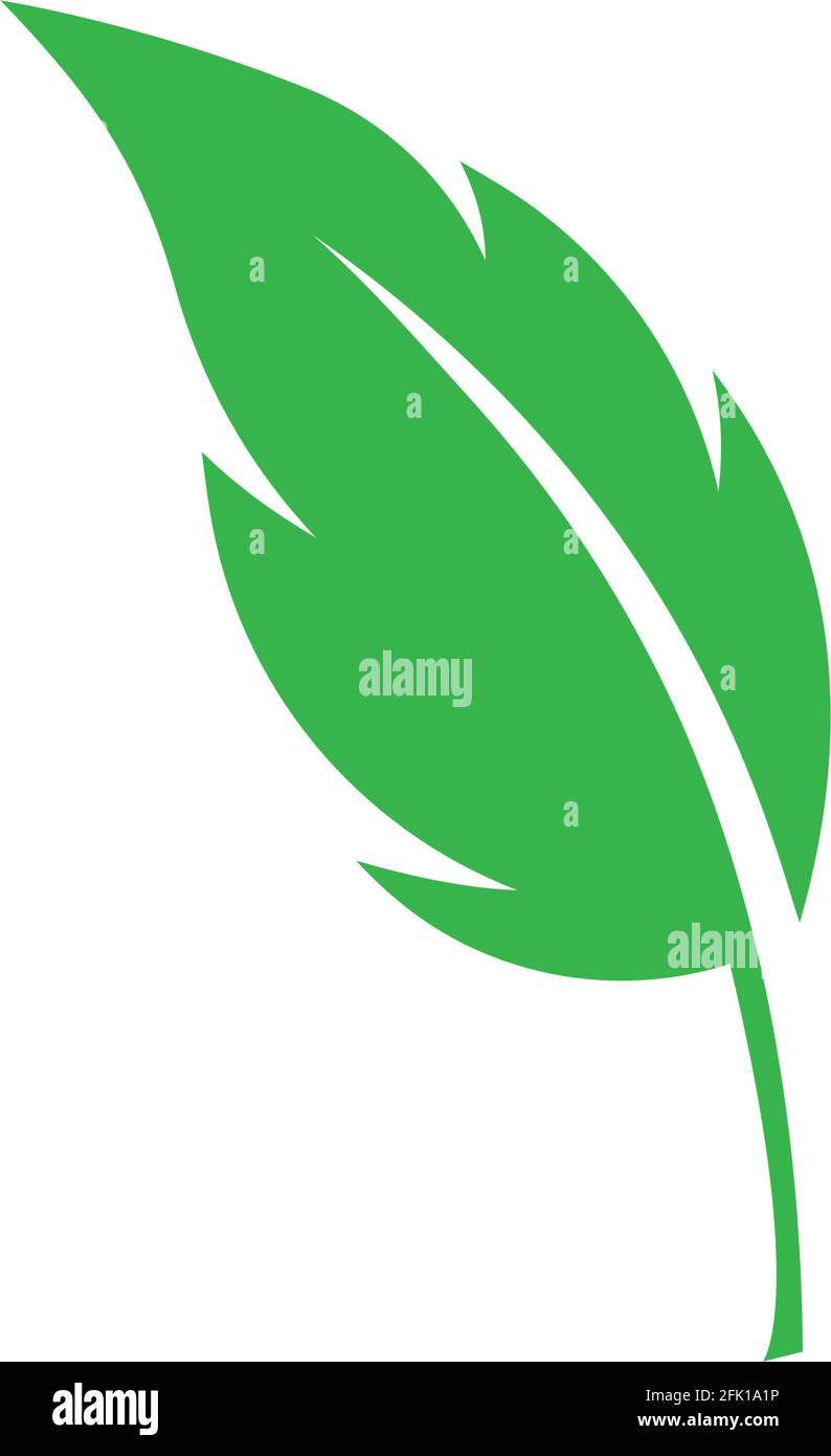 green leaf ecology nature element vector Stock Vector Image & Art - Alamy