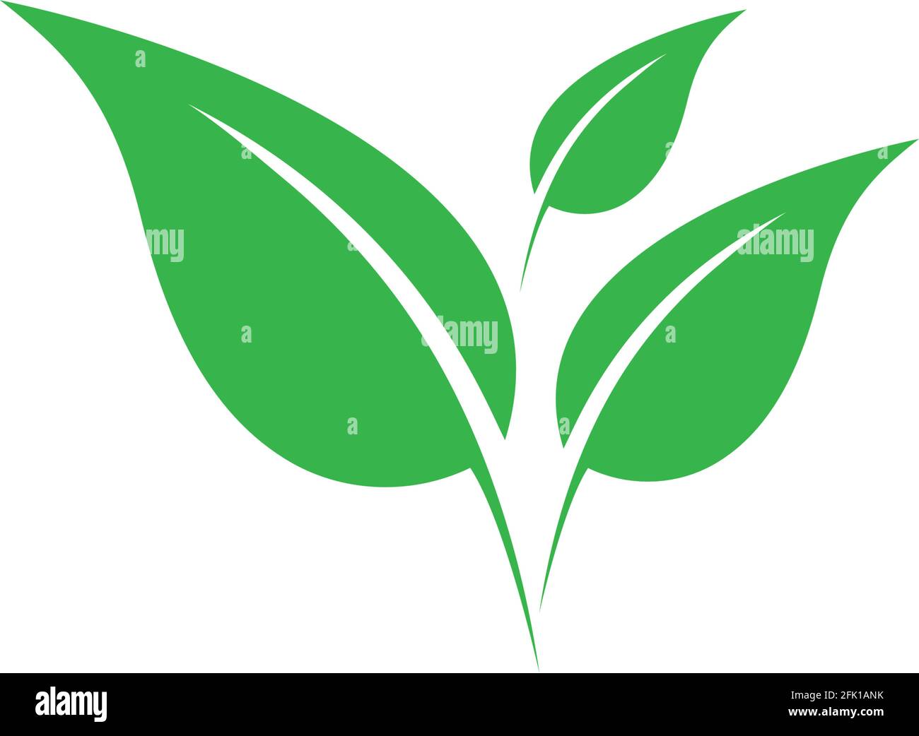 green leaf ecology nature element vector Stock Vector Image & Art - Alamy