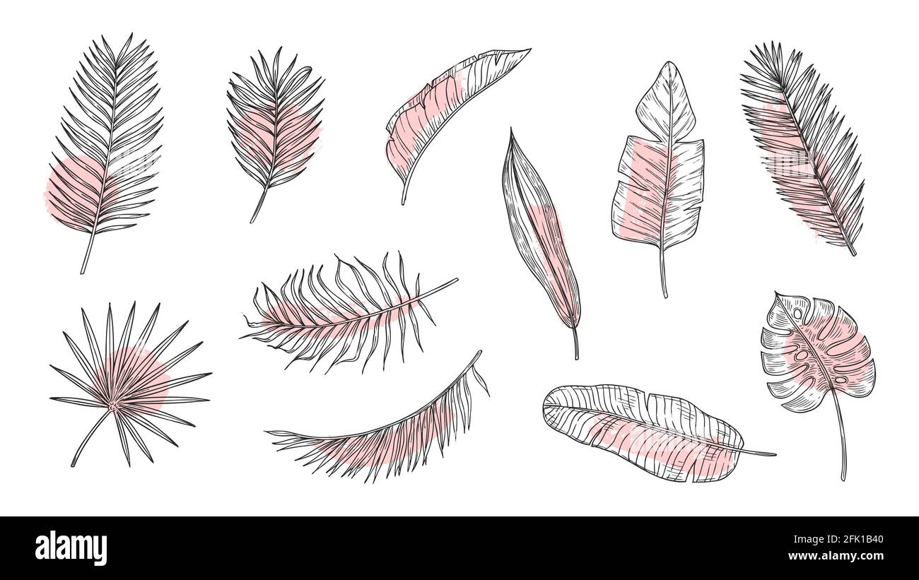 Tropical leaves sketch. Floral foliage, ink art plants. Palm tree branch with paint brush strokes. Isolated exotic rainforest vector set Stock Vector