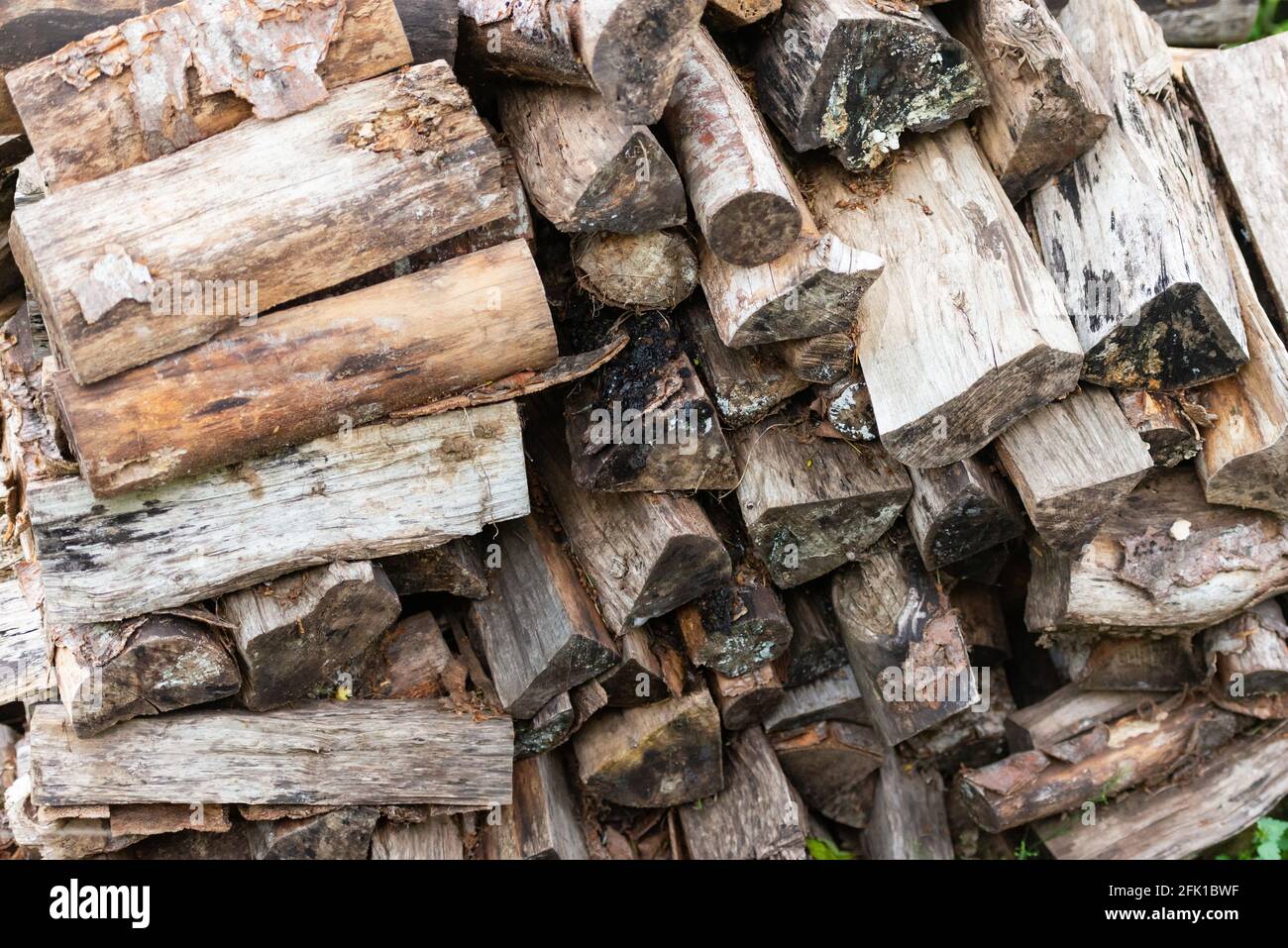 Pallet of old firewood. Firewood that has been lying for a long time